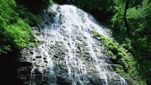 绿色高性能